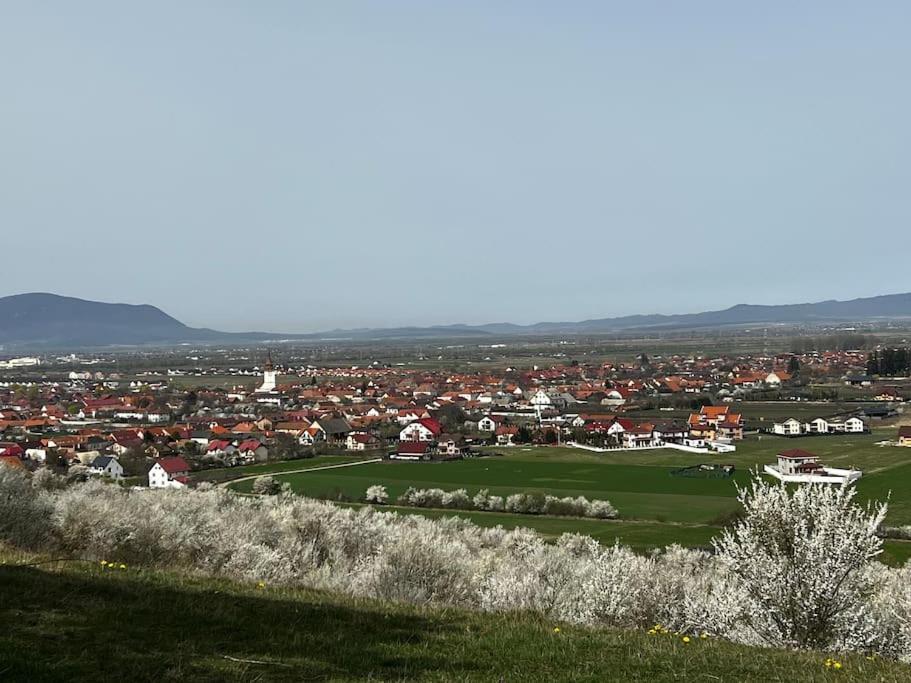 Willa Pineview Lempes Braszów Zewnętrze zdjęcie
